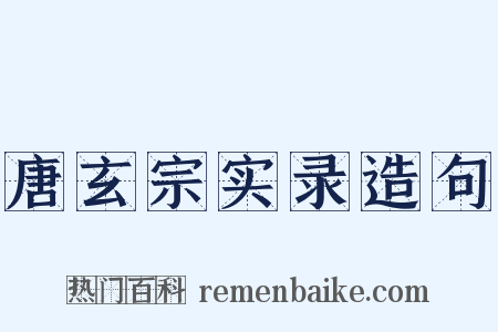 唐玄宗实录造句是什么意思的图片